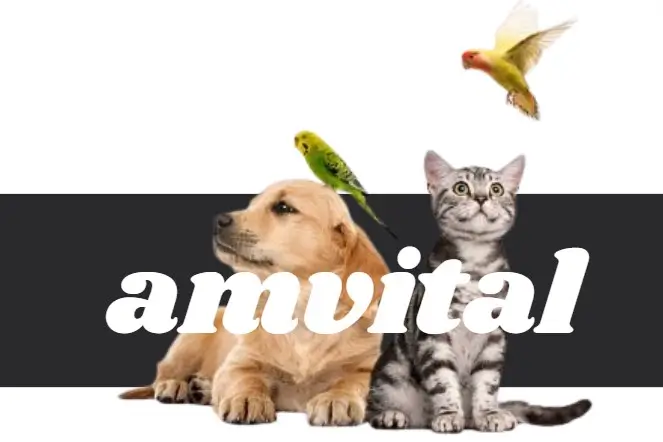 La Revolución de los Piensos para Animales 2 pienso elabora con productos naturales