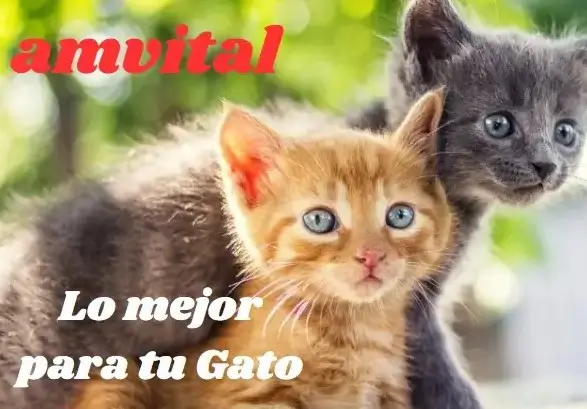 Quiero ser distribuidor 2 Pienso para gatos