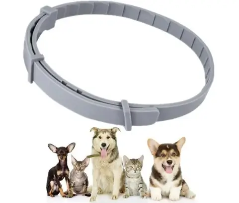 Defendiendo a tus Mascotas: 4 collar antiparasitos