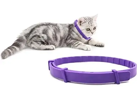 Defendiendo a tus Mascotas: 3 collar antiparasitos