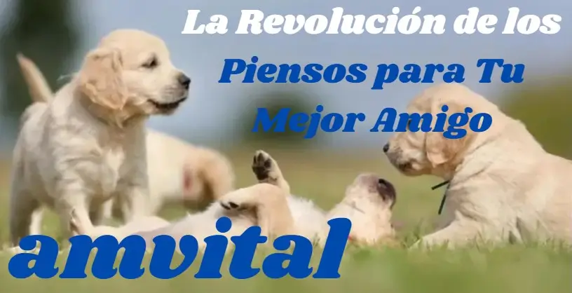 Quiero ser distribuidor 1 amvital distribuidor